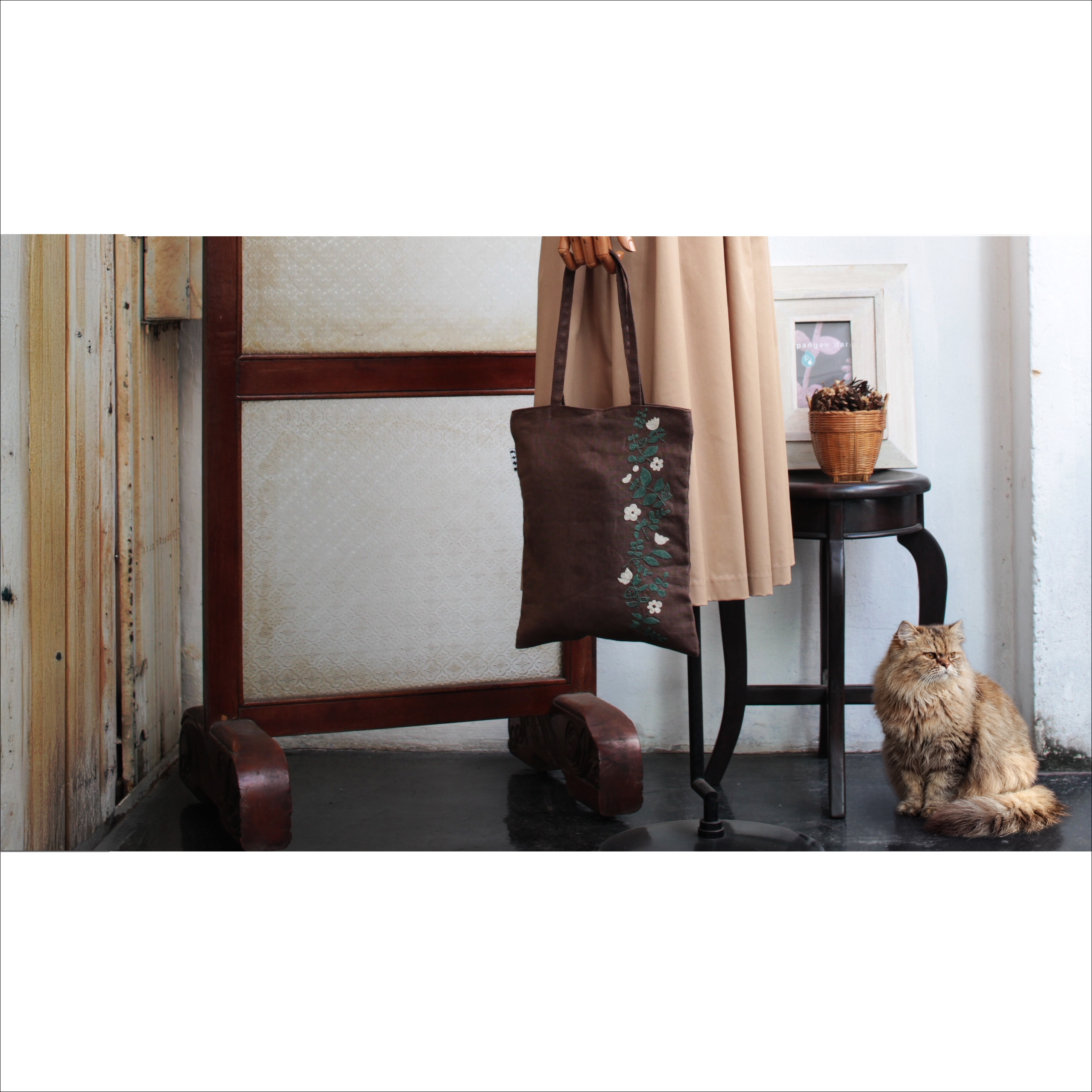 ペルシャ猫がいる撮影写真。